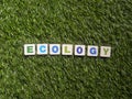 Word Ecology on faux green grass Royalty Free Stock Photo