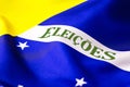 Word: ELECTIONS written in Portuguese, on the flag of Brazil. Concept of municipal elections in Brazil in November, to municipal Royalty Free Stock Photo