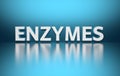 Word Enzymes