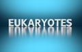 Word Eukaryotes on blue backgound Royalty Free Stock Photo