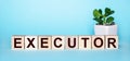The word EXECUTOR is written on wooden cubes near a flower in a pot on a light blue background