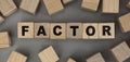 The word FACTOR made from wooden cubes. Conceptual photo