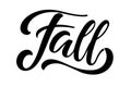 Word Fall hand written lettering on white background. Vector calligraphy illustration. Fall, autumn and Thanksgiving Royalty Free Stock Photo