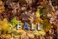 The word fall laid with metal letters over yellow autumn fallen leaves - closeup with selective focus