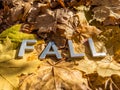 The word fall laid with metal letters over yellow autumn fallen leaves - closeup with selective focus