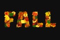 Word FALL made with colorful fall leaves, physalis lanterns Physalis alkekengi, dog-rose fruits and acorns, isolated on black