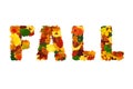 Word FALL made with colorful fall leaves, physalis lanterns Physalis alkekengi, dog-rose fruits and acorns, isolated on white Royalty Free Stock Photo