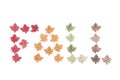 The word Fall made of wooden decorative leaves of a tree