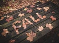 Word fall Written with leaves on a table