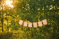 Word Family written on hanging orange paper banner