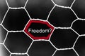 The word freedom in a steel fence. Lies concept. Black shabby background, red accents