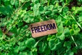 The word freedom wooden tag
