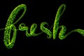 The word Fresh made of luminous and sparkling round green particles isolated on black background