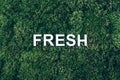 Word Fresh on moss, green grass background. Top view. Copy space. Banner. Biophilia concept. Nature backdrop Royalty Free Stock Photo