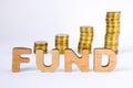 Word fund of three-dimensional letters is in foreground with growth columns of coins on blurred background. Monetary fund concept