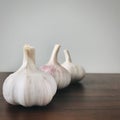 Three garlics on wood brown table, grey background. Square.