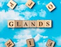 The word Glands