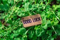 The word good luck wooden tag