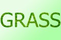 The word GRASS