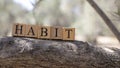 The word Habit was created from wooden cubes. Royalty Free Stock Photo