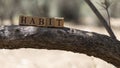 The word Habit was created from wooden cubes. Royalty Free Stock Photo