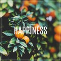 Word Happines. Branches with the fruits of the orange trees.