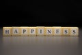 The word HAPPINESS written on wooden cubes isolated on a black background Royalty Free Stock Photo