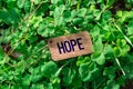 The word hope wooden tag