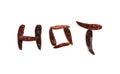 Word HOT with dry chili Royalty Free Stock Photo