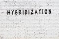 Word hybridization painted on white brick wall Royalty Free Stock Photo