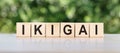 The word ikigai written on a wooden block on the table