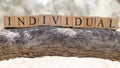 The word individual was created from wooden blocks. Sociology and life. Royalty Free Stock Photo