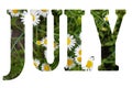 Word July made of flowers nature background. summer months