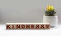 The word kindness written in a wooden cube and a white background, Royalty Free Stock Photo