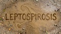 Leptospirosis Written in Mud Disease Concept, Health Risk, Waterborne Illness Royalty Free Stock Photo