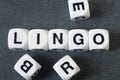 Word lingo on toy cubes Royalty Free Stock Photo