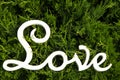 The word Love carved from wood on different backgrounds, Royalty Free Stock Photo