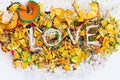 The word Love on colored pencil shavings Royalty Free Stock Photo