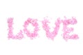 Word love composed from pink petals and flowers