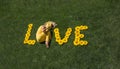 Word love laid out of sunflower flowers on green grass