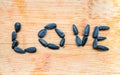 The word LOVE is laid out with sunflower seeds on a wooden pallet, close-up