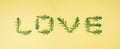 Word LOVE made of chamomile leaves on a light yellow background. Romantic composition idea Royalty Free Stock Photo