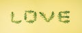 Word LOVE made of chamomile leaves on a light yellow background. Romantic composition idea