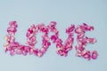 Word love made of pink rose petals. Weddind and romantic theme. Rose petals love Royalty Free Stock Photo