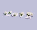Word love made of white letters and beautiful white flowers. Spring time lovers message. Minimal nature concept Royalty Free Stock Photo