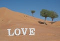 The Word Love Spelled in the Desert