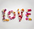 Word love written with colorful flowers.