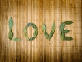 Word love written with leaves Royalty Free Stock Photo