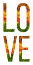 Word love written with leaves white isolated background, banner for printing, creative illustration of colored leaves.