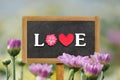 Word LOVE written on wood board chrysanthemum flower Royalty Free Stock Photo